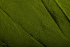 Soft Cotton Fabric Texture for Versatile Designs photo