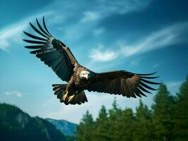 AI generated A horizontal banner with an eagle flying in the sky. High quality. AI Generative photo