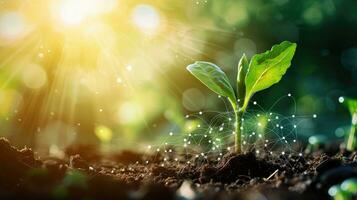 AI generated Sprout Agricultural Technologies banner, Agriculture Innovation Concept photo