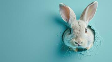 ai generado adorable Pascua de Resurrección conejito con Pascua de Resurrección huevos, vistoso Pascua de Resurrección huevos, bandera y fondo de pantalla foto