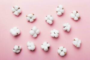 Autumn Floral Flat lay background composition. Dried white fluffy cotton flower branchwith green leaf top view on colored table with copy space photo