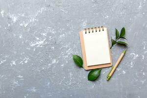 eco-friendly Empty notebook with pen and green leaf on Colored background for note photo