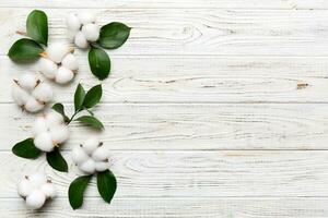 Autumn Floral Flat lay background composition. Dried white fluffy cotton flower branchwith green leaf top view on colored table with copy space photo