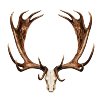 AI generated Antlers png isolated on transparent background