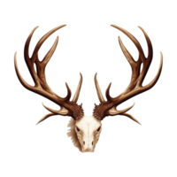 AI generated Antlers png isolated on transparent background