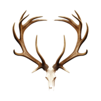 AI generated Antlers png isolated on transparent background