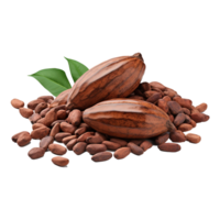 ai generado cacao png aislado en transparente antecedentes