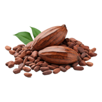 ai generato cacao png isolato su trasparente sfondo