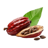 ai généré cacao png isolé sur transparent Contexte