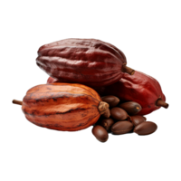 ai generato cacao png isolato su trasparente sfondo