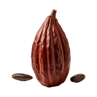 ai généré cacao png isolé sur transparent Contexte