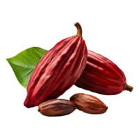 ai gegenereerd cacao PNG geïsoleerd Aan transparant achtergrond