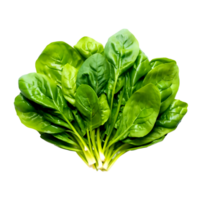 AI generated A fresh spinach isolated on a white or transparent background png