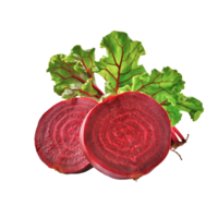 AI generated A piece of sliced beets isolated on a white or transparent background png