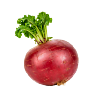 AI generated A fresh turnip isolated on a white or transparent background png