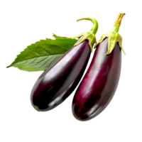 ai gegenereerd aubergines geïsoleerd Aan een transparant achtergrond png