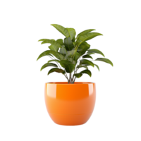 AI generated Plant Pot on transparent background PNG image