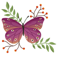 Schmetterling mit Blume png