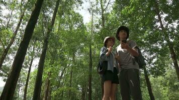 Masculin et femelle Jeune adolescent les voyageurs recherche signal vagues l'Internet de mobile téléphone tandis que avoir perdu dans le forêt. video