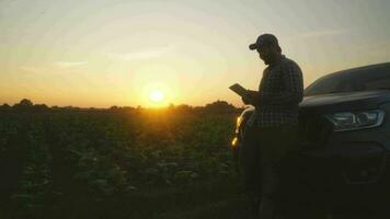 Aziatisch jong boeren en tabak landbouwer benutten de kern gegevens netwerk in de internet van de tablet naar valideren, test in een tabak veld. video