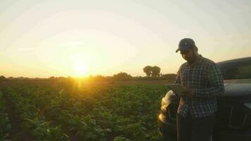 asiático joven agricultores y tabaco agricultor utilizar el núcleo datos red en el Internet desde el tableta a validar, prueba en un tabaco campo. video