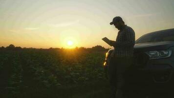 asiatisch jung Bauern und Tabak Landwirt nutzen das Ader Daten Netzwerk im das Internet von das Tablette zu bestätigen, Prüfung im ein Tabak Feld. video