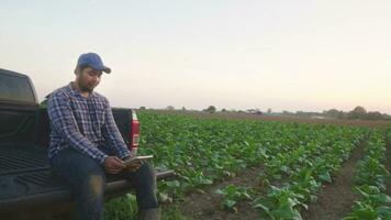 Aziatisch jong boeren en tabak landbouwer benutten de kern gegevens netwerk in de internet van de tablet naar valideren, test in een tabak veld. video