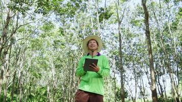 Gardener  asian man plant researcher is checking rubber trees and recording in digital tablet in the garden. video