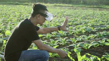 asiatisch jung Mann Verwendet virtuell Wirklichkeit Brille Überprüfung das Qualität von Tabak Blätter im ein Tabak Plantage im Thailand. video
