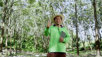 giardiniere asiatico uomo pianta ricercatore è controllo gomma da cancellare alberi e registrazione nel digitale tavoletta nel il giardino. video