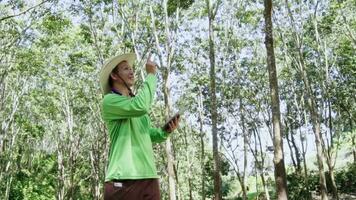 jardinero asiático hombre planta investigador es comprobación caucho arboles y grabación en digital tableta en el jardín. video