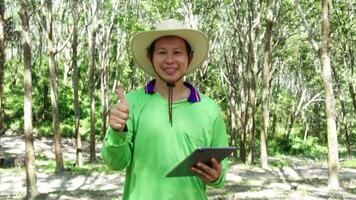 jardinier asiatique homme plante chercheur est vérification caoutchouc des arbres et enregistrement dans numérique tablette dans le jardin. video