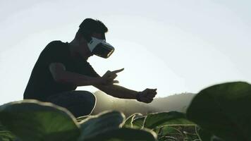 asiático joven hombre usos virtual realidad lentes comprobación el calidad de tabaco hojas en un tabaco plantación en tailandia video