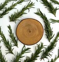 Wooden coaster photography mock up with rosemary, Salvia rosmarinus, Rosmarinus officinalis pattern on the background. Botanical herb spice leaves for background. photo