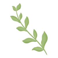 green leaf plant png