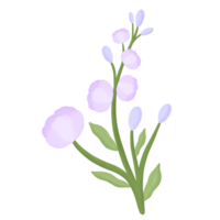 lila Blütenblüte png