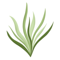 pianta a foglia verde png