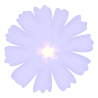 flor de flor morada png