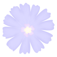 flor de flor roxa png