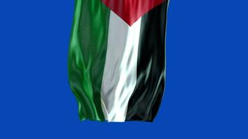 bandiera nazionale palestinese video