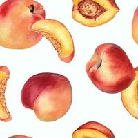 Watercolor seamless pattern with nectarines and peaches isolated on white background. Whole ripe and half fruits. Apricot hand drawn. Design element for package, textile, wrapping paper, fabric vector