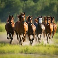 ai generado un grupo de caballos corriendo a través de un prado, capturado en un dinámica acción Disparo foto