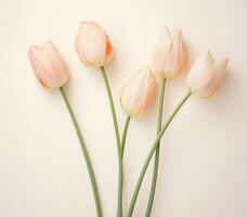 AI generated tulip stem with white blooms set in ivory, photo