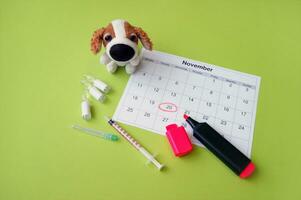 A syringe with ampoules, a soft toy a dog and a calendar with a marked date on light green background. photo