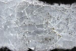 Frozen puddle with broken ice. photo