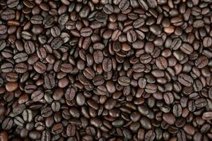 Mixture of different kinds of fresh roasted brown coffee beans in dark tones photo