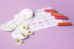 Menstrual pads and tampons on menstruation period calendar with chamomiles on pink background. photo