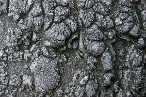 Close up view on roofing material with frost. photo