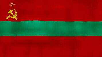 transnistria vlag golvend kleding perfect lus, vol scherm animatie 4k oplossing. video