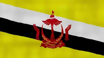 brunei drapeau agitant tissu parfait en boucle, plein écran animation 4k résolution video